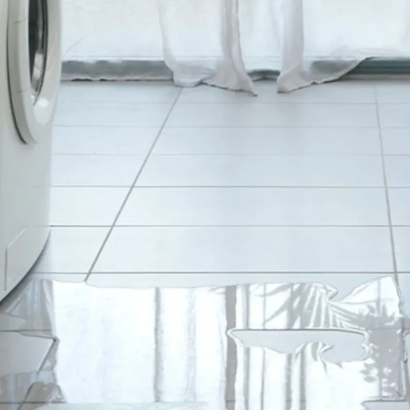 Appliance Leak Cleanup in Cayuga, IN