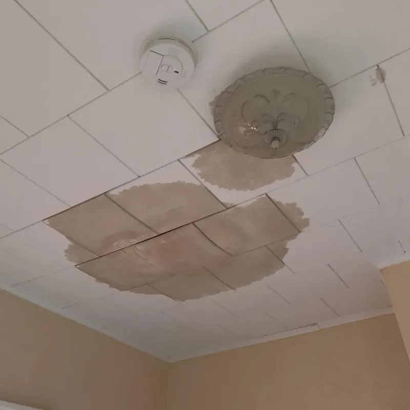 Ceiling Water Damage Repair in Cayuga, IN