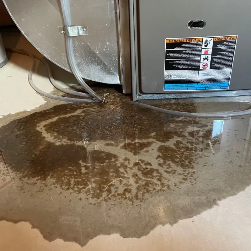 Pipe Burst and Leak Restoration in Cayuga, IN