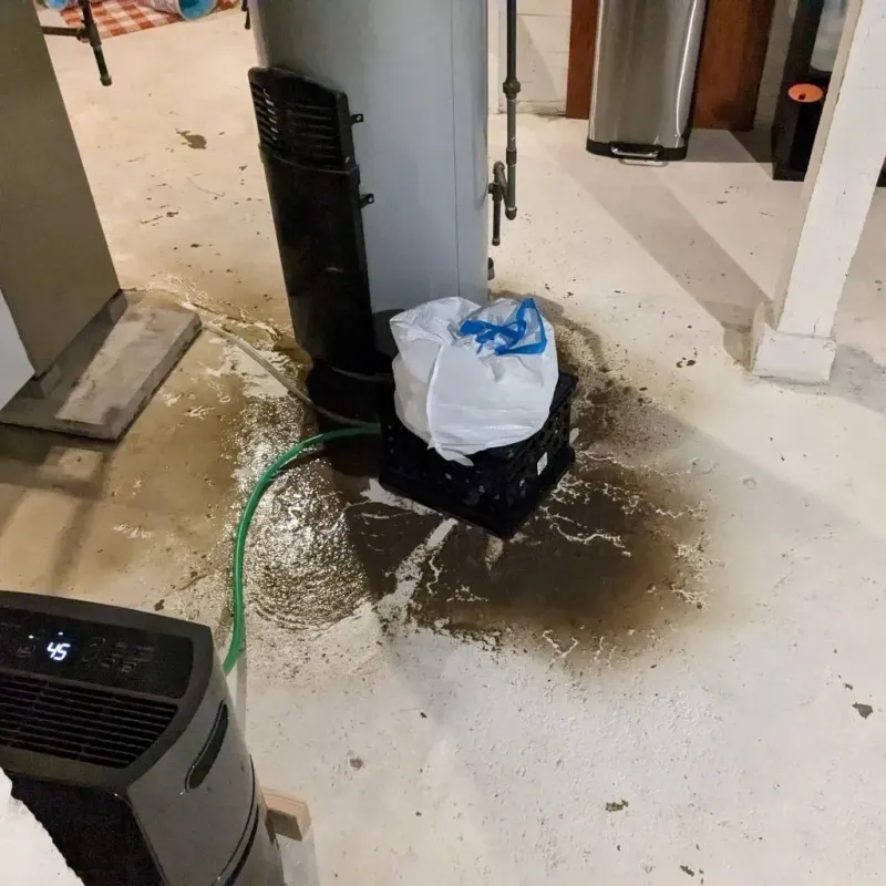 Sewage Backup Cleanup Service in Cayuga, IN